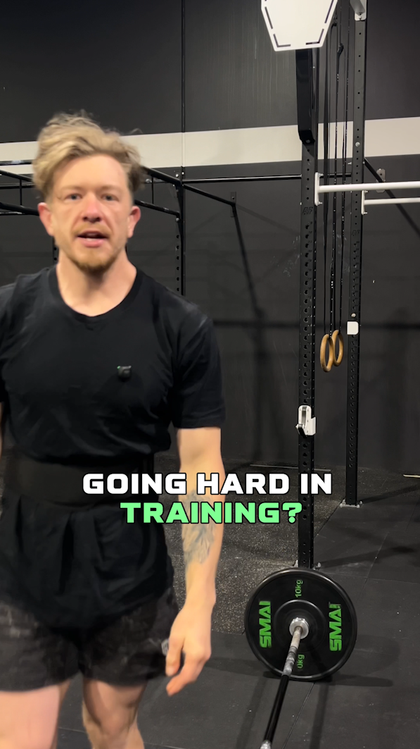 Turtle Strength Weight Lifting Belt